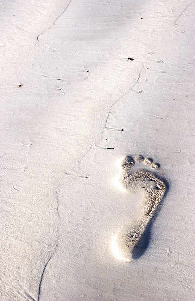 的足迹图片下载