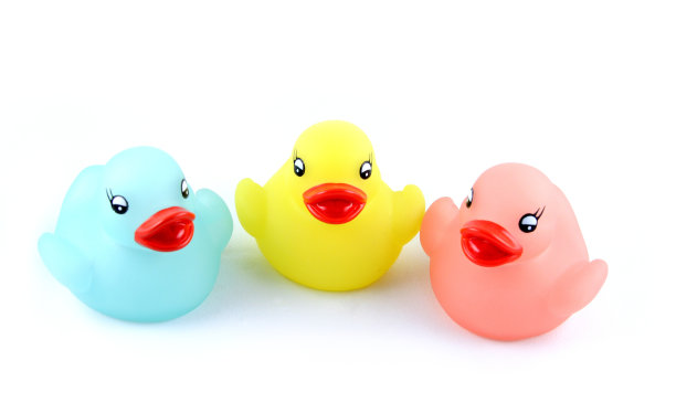 幸福的鸭子图片下载