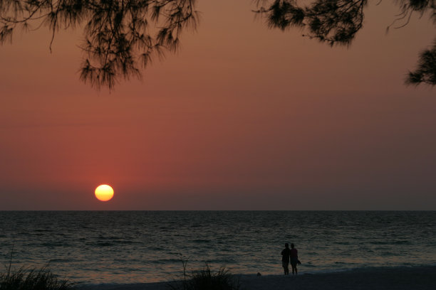 浪漫的情侣看日落佛罗里达图片下载