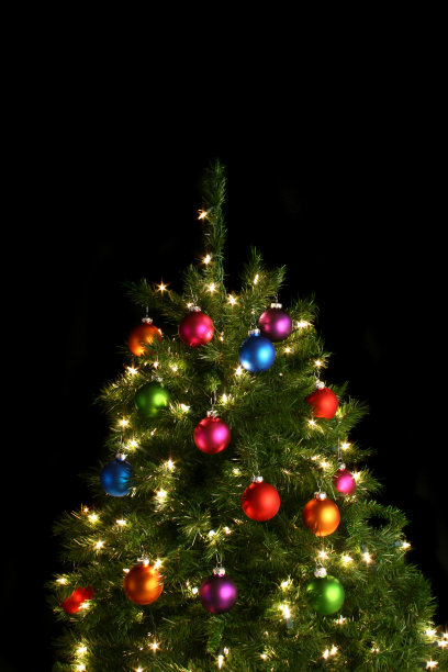 圣诞树图片下载