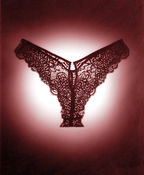 蕾丝内裤图片下载
