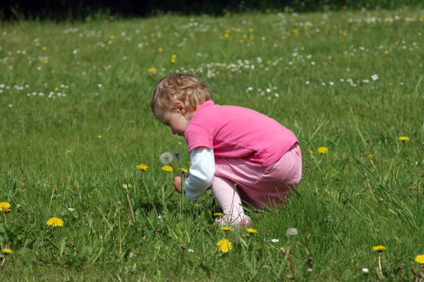 蒲公英的女孩图片下载
