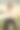 公园里可爱的女孩图片下载