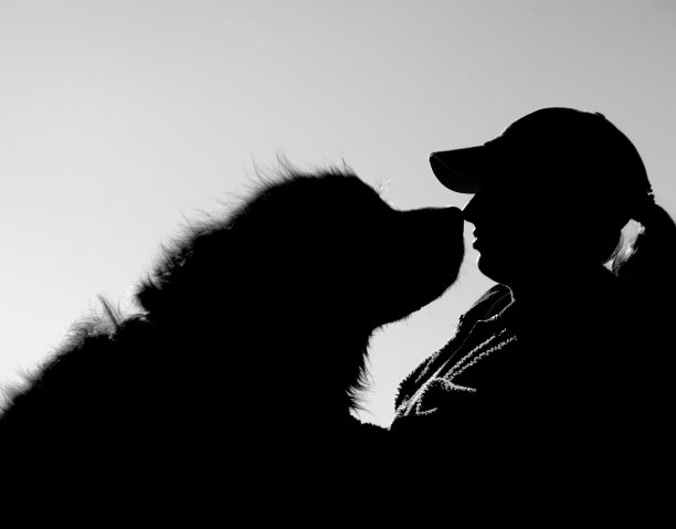 十几岁的女孩和她的狗面对面图片下载