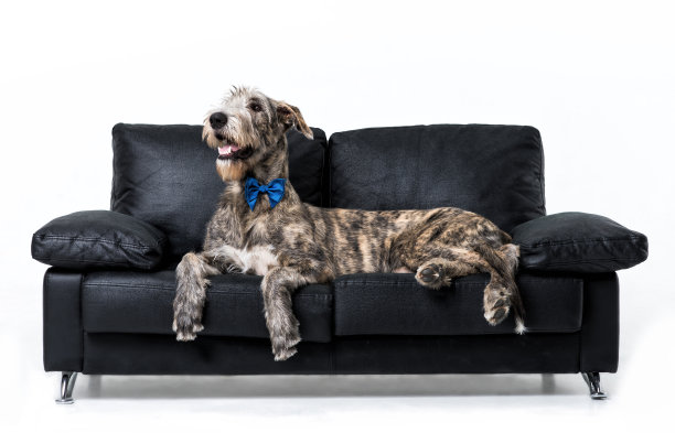 信息战图片下载