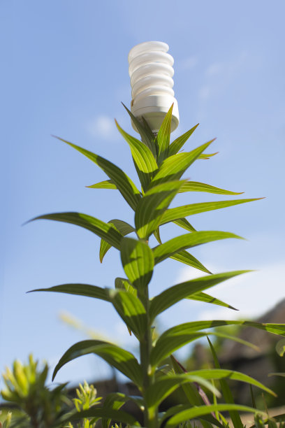 自然的力量图片下载
