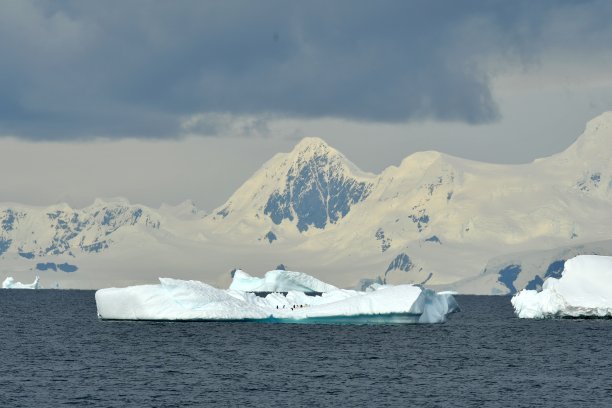 企鹅和冰山图片下载