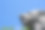 狮子雕像图片下载
