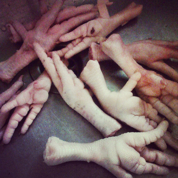 鸡脚。图片下载