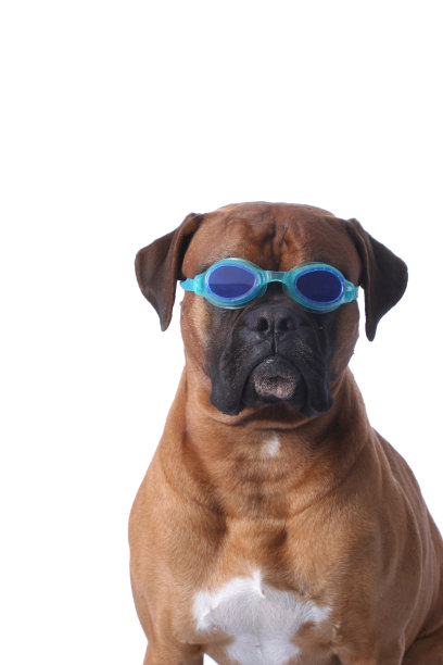 游泳运动员图片下载