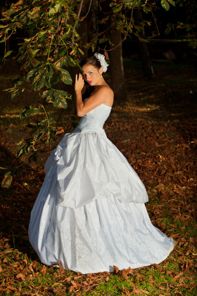 美丽的新娘图片下载