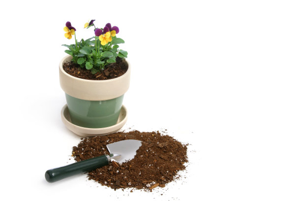 园艺系列图片下载