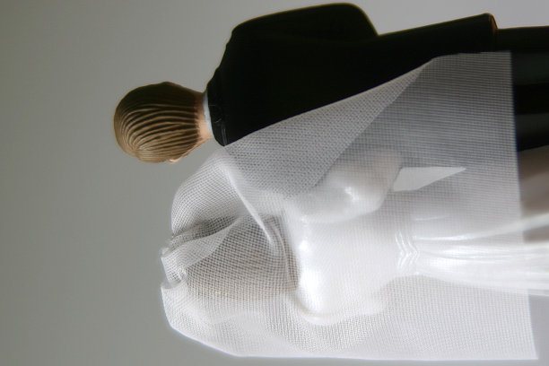 3 .新郎和新娘图片下载