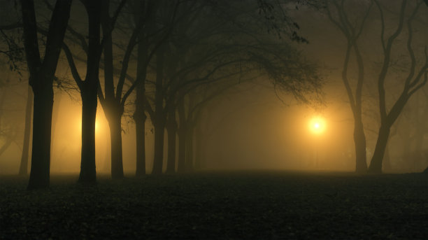 晚上的公园图片下载