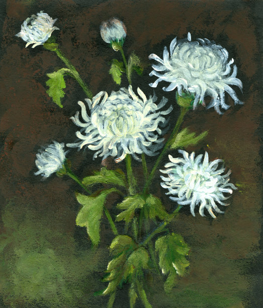 菊花的花束图片下载