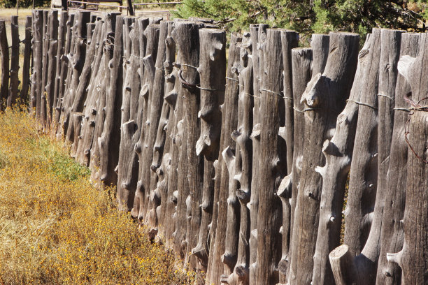 畜栏栅栏柱动物围栏图片下载