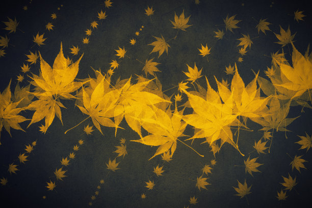 秋天Bacground图片下载