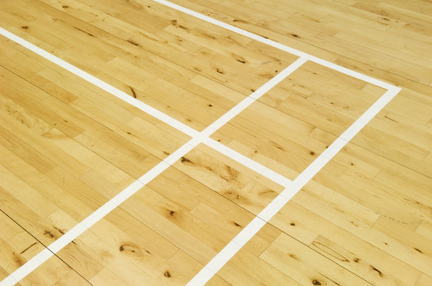 羽毛球场的标记图片下载