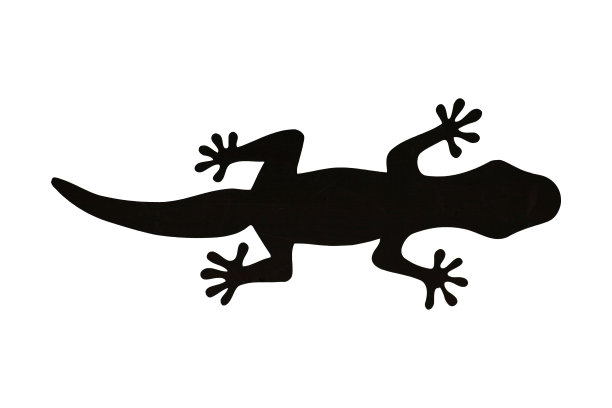 黑蜥蜴轮廓图片下载