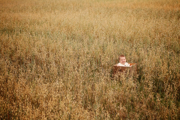 美丽的8个月大的婴儿在田野微笑。图片下载