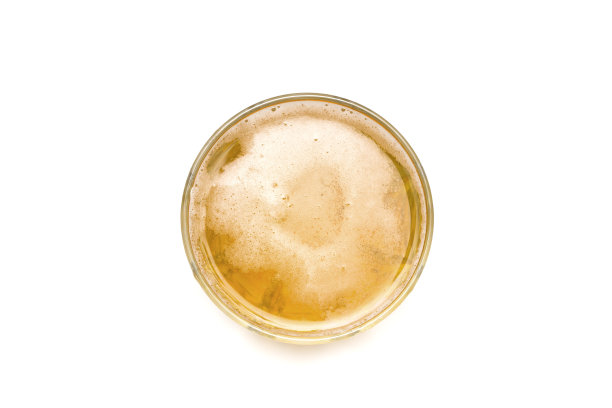 一杯啤酒，孤立在白色背景，直接俯瞰。图片下载