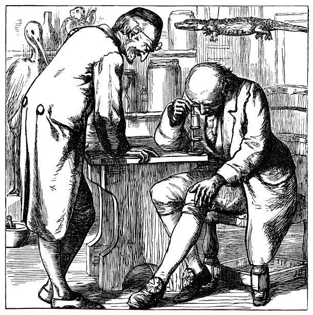 两位维多利亚时代的科学家图片下载