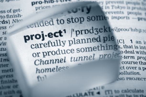 “项目”的定义图片下载