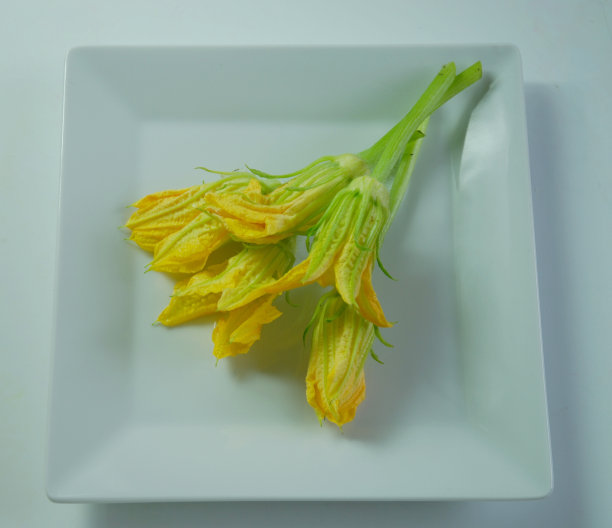 南瓜花图片下载