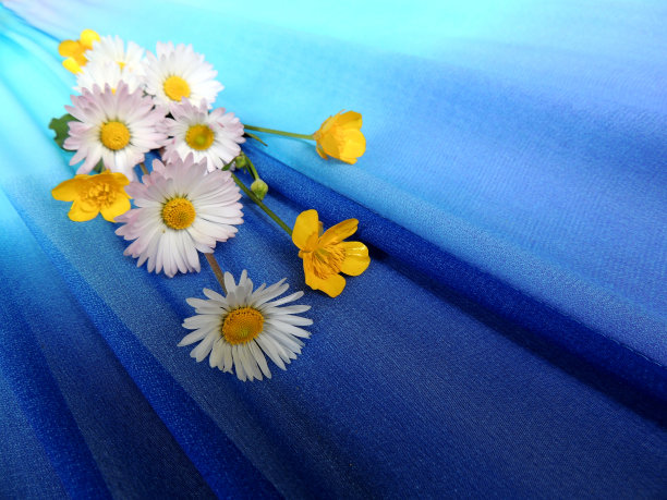 蓝色背景带花图片下载