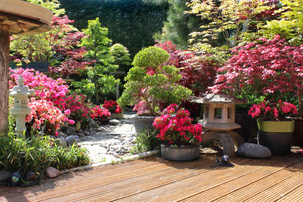 镂空木材装饰日本灯笼、枫树、杜鹃花的形象图片下载