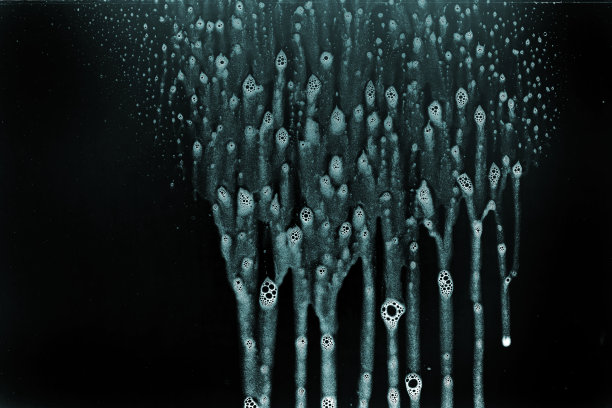 黑色背景上的泡沫图片下载