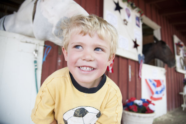 愚蠢的马玩图片下载