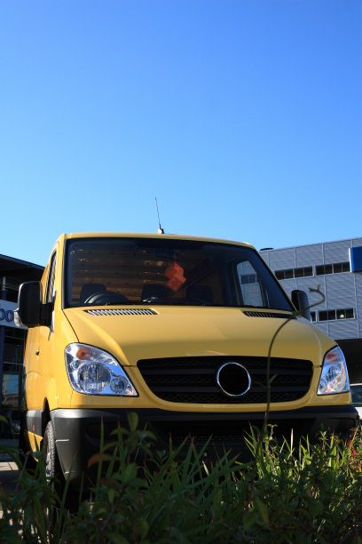 黄色的图片下载