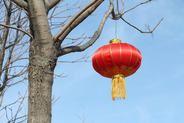 大红灯笼高高挂图片下载