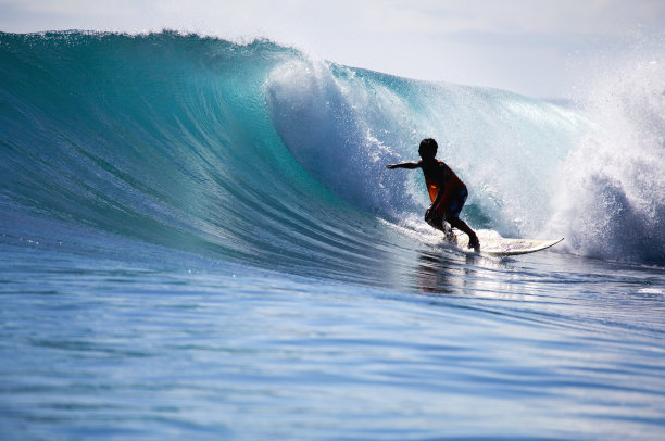 橙色Grom素材图片
