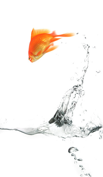 杂技演员图片下载