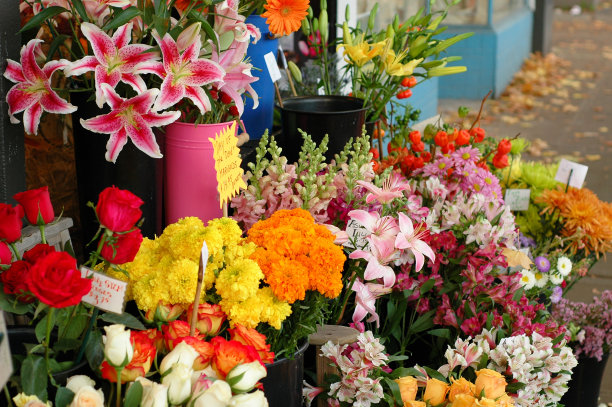 花店的花图片下载