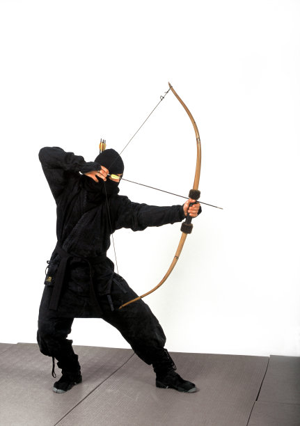 黑色忍者(Hi Res)图片下载