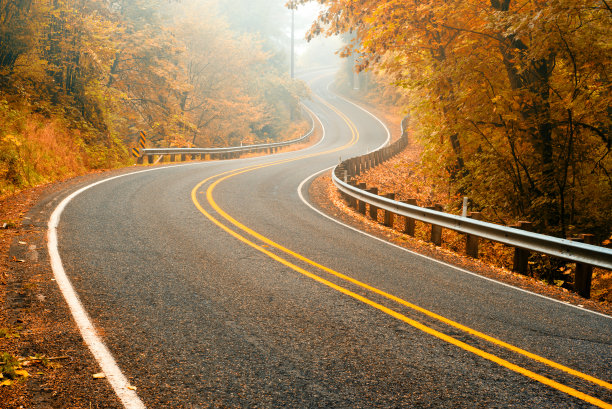 道路蜿蜒穿过秋树图片下载