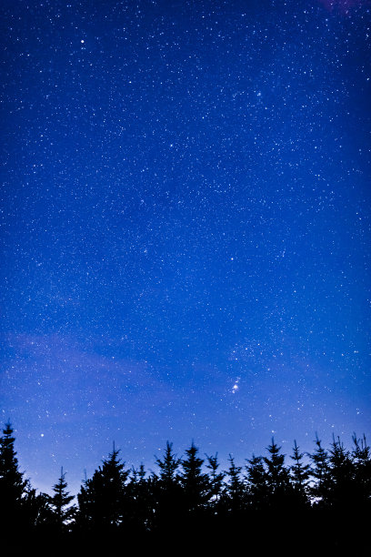 有星星和森林的夜空图片下载