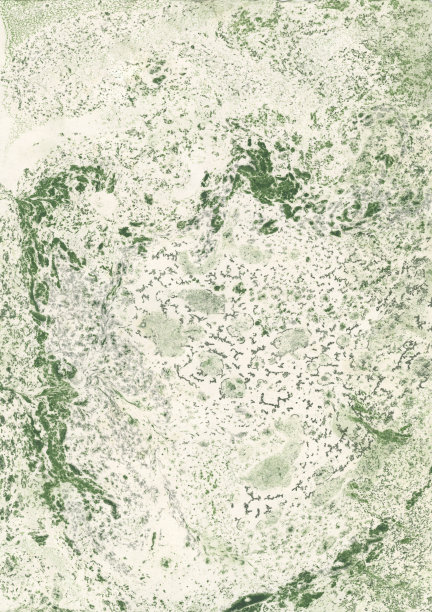 绿色模式backround图片下载