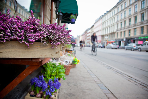 城市的春天图片下载