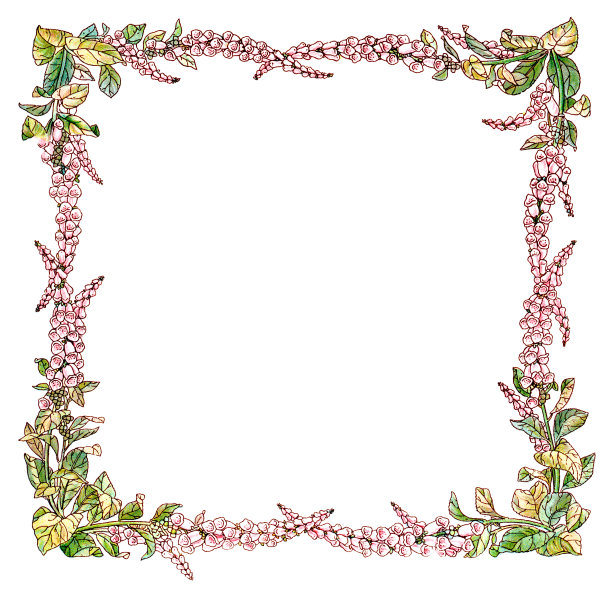 维多利亚风格的毛地黄边框图片下载