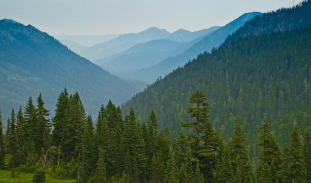 山上的晨雾图片下载