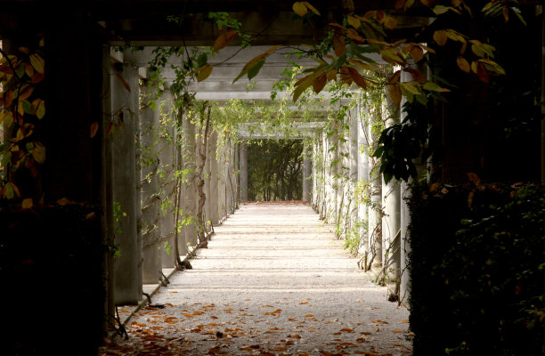 美丽的隧道图片下载