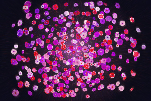 五彩纸屑鲜花A06图片下载