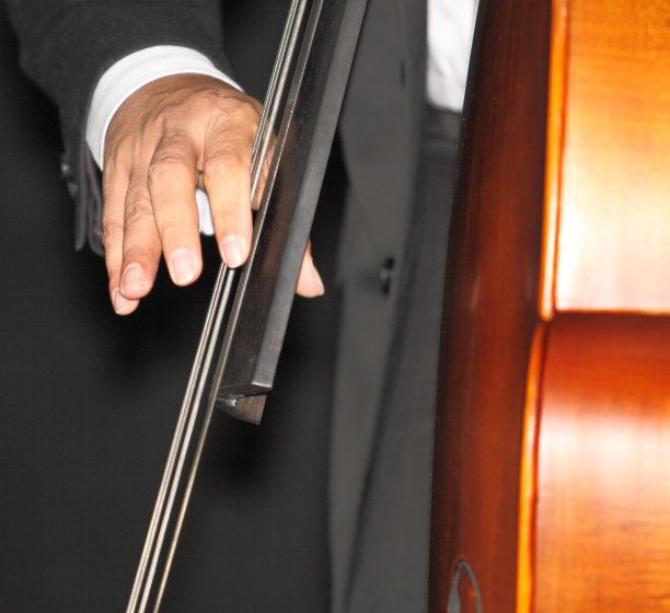 最低音的手玩图片下载