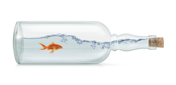 瓶子里的金鱼图片下载