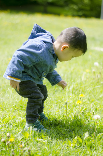 小男孩在草地上玩图片下载