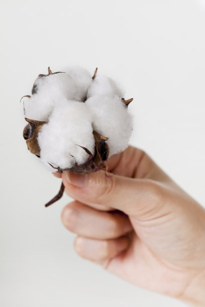 棉花的手图片下载